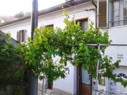 B&B Al Ferdinandeo Terst Exteriér fotografie